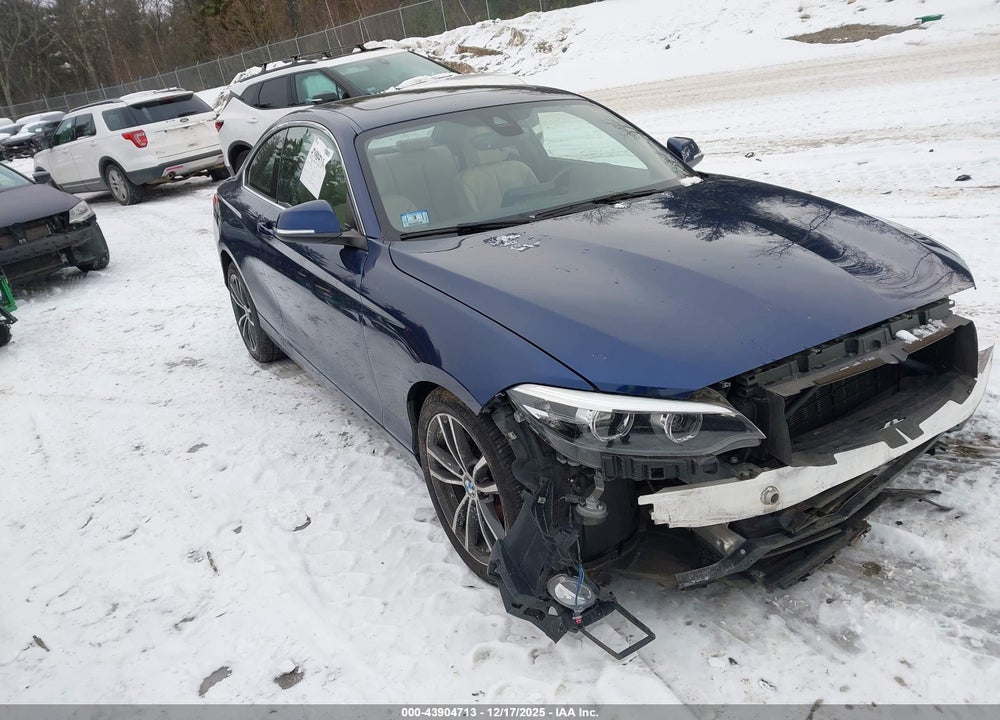 2019 BMW 230I VIN: WBA2J1C57K7D45622