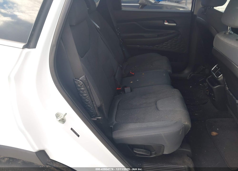 2020 HYUNDAI SANTA FE SE VIN: 5NMS23AD4LH194106