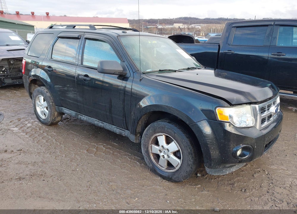 2011 FORD ESCAPE XLT VIN: 1FMCU0D76BKA97376