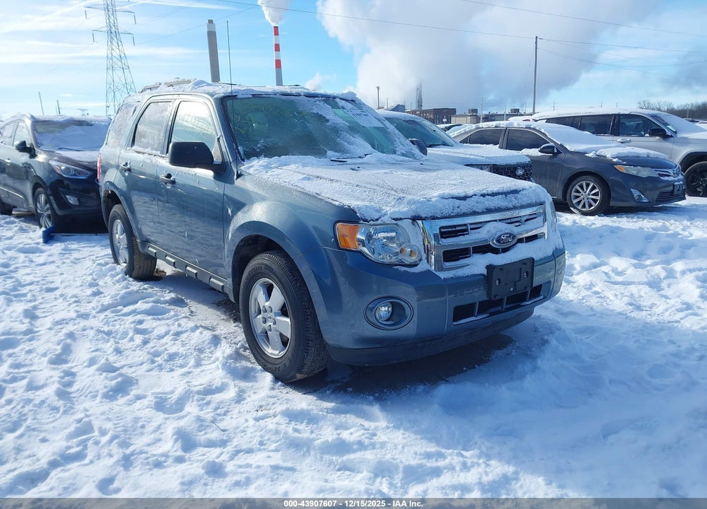2011 FORD ESCAPE XLT VIN: 1FMCU9D76BKA40891