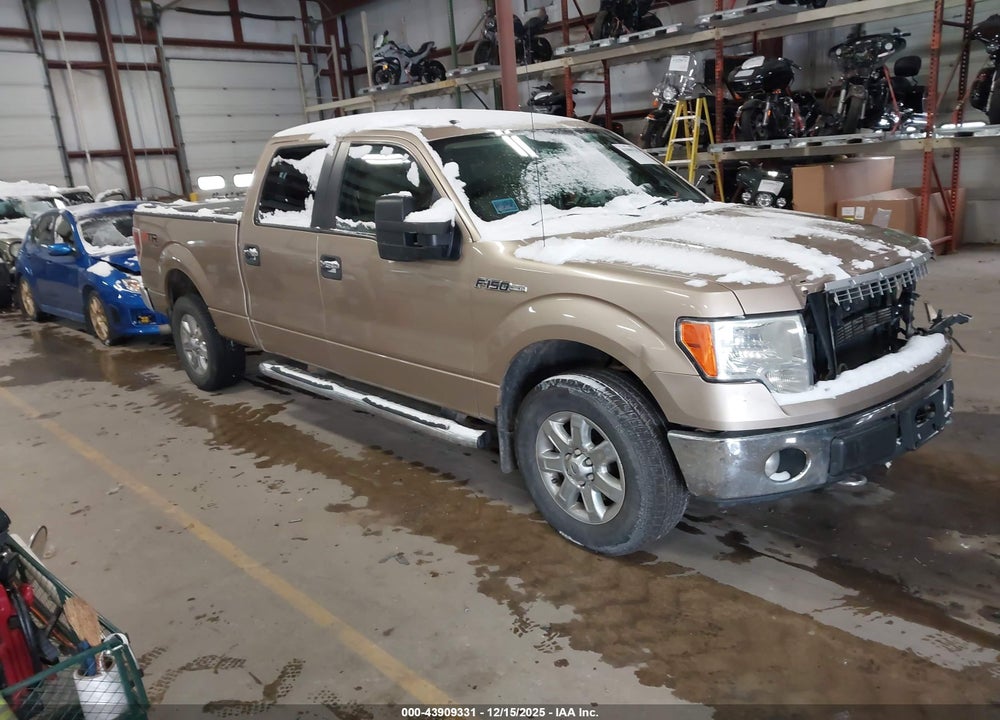 2014 FORD F-150 XLT VIN: 1FTFW1EF9EKF83109