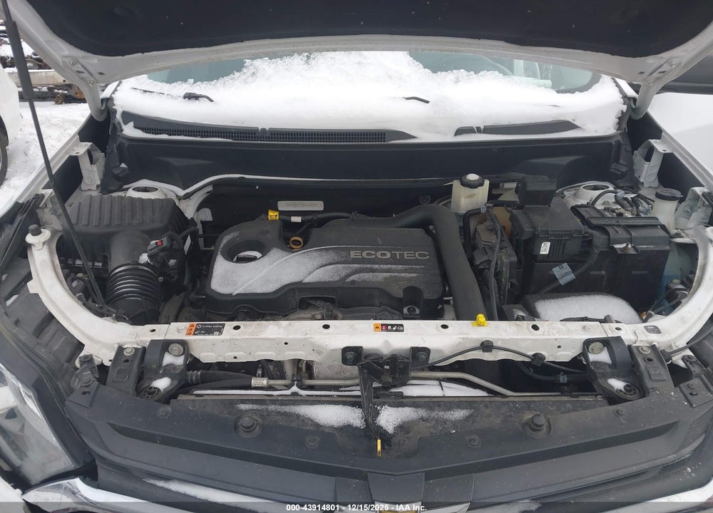 2019 CHEVROLET EQUINOX LS VIN: 3GNAXSEV4KL278607