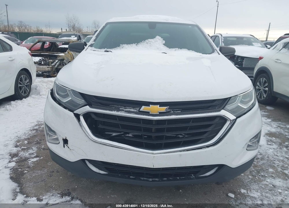 2019 CHEVROLET EQUINOX LS VIN: 3GNAXSEV4KL278607
