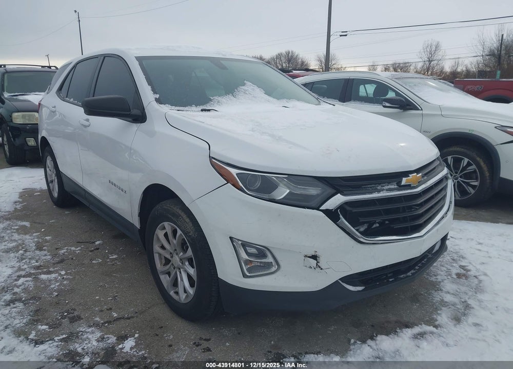 2019 CHEVROLET EQUINOX LS VIN: 3GNAXSEV4KL278607