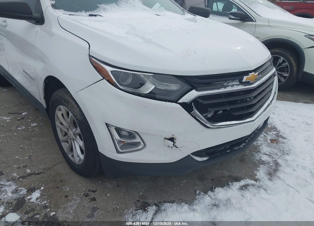 2019 CHEVROLET EQUINOX LS VIN: 3GNAXSEV4KL278607
