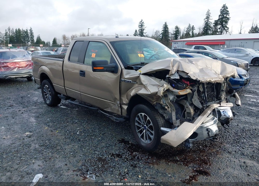 2013 FORD F-150 XLT VIN: 1FTFX1EF7DFC28122