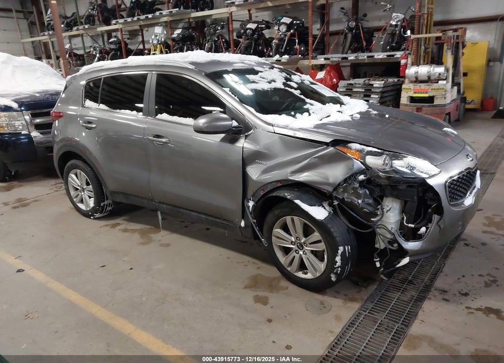 2017 KIA SPORTAGE LX VIN: KNDPMCAC7H7184515
