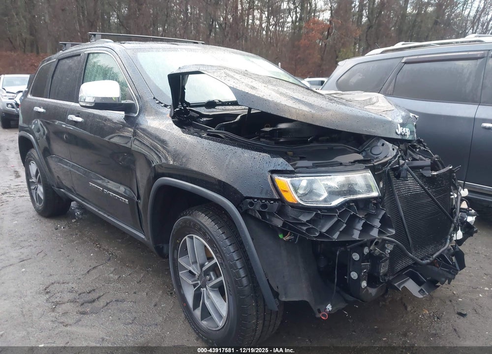 2019 JEEP GRAND CHEROKEE LIMITED 4X4 VIN: 1C4RJFBG8KC810740