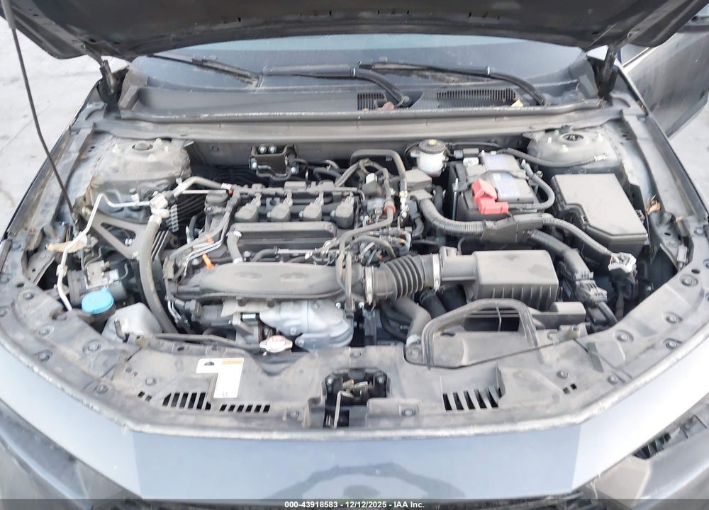 2024 HONDA ACCORD LX VIN: 1HGCY1F20RA024831