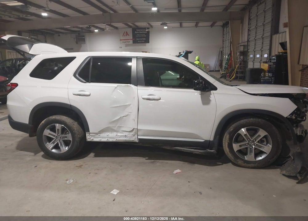 2024 HONDA PILOT EX-L 7 PASSENGER VIN: 5FNYG1H55RB009893
