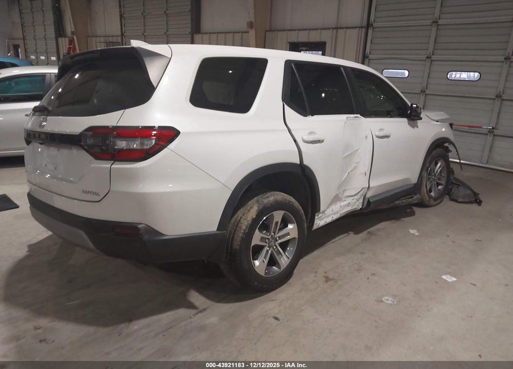 2024 HONDA PILOT EX-L 7 PASSENGER VIN: 5FNYG1H55RB009893