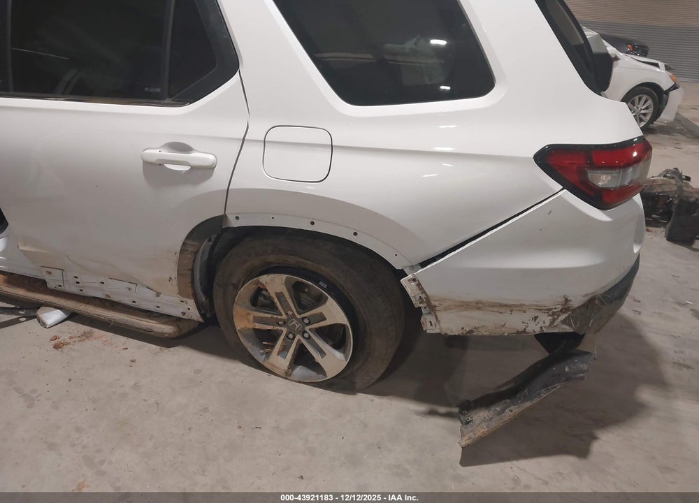 2024 HONDA PILOT EX-L 7 PASSENGER VIN: 5FNYG1H55RB009893