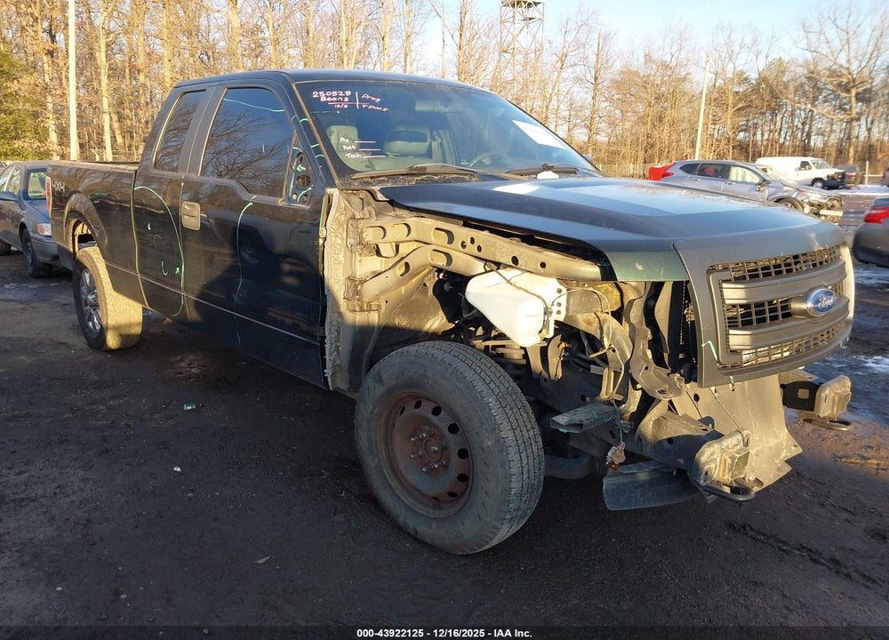 2013 FORD F-150 XL VIN: 1FTFX1EF2DFA11884