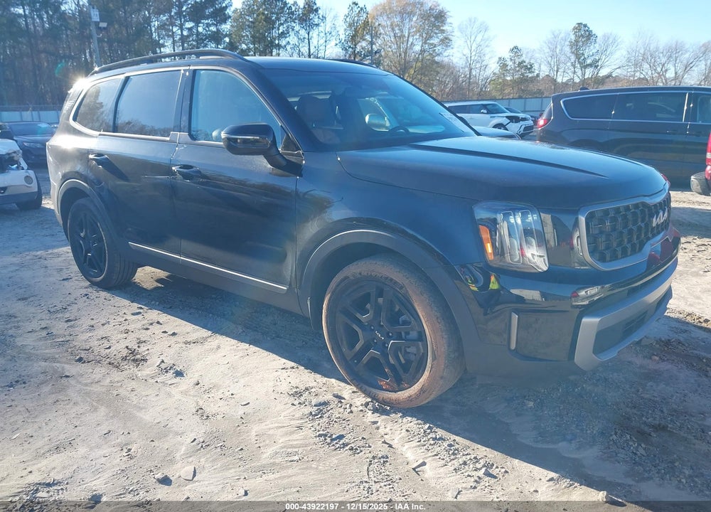 2023 KIA TELLURIDE EX X-LINE VIN: 5XYP3DGC5PG410357
