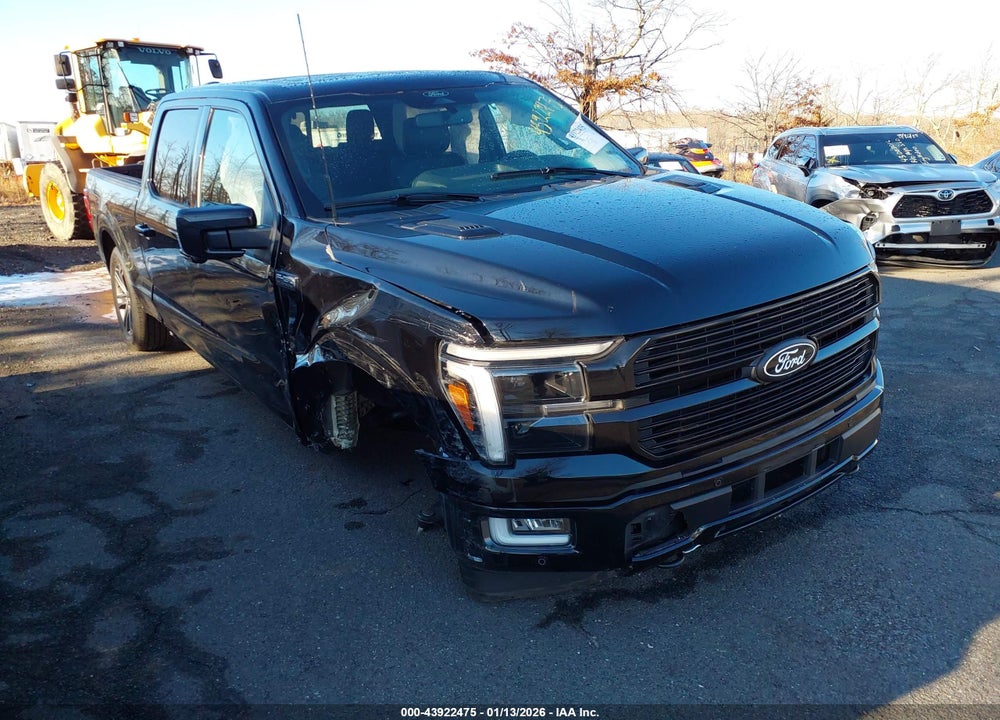 2024 FORD F-150 PLATINUM VIN: 1FTFW7L87RFB78047