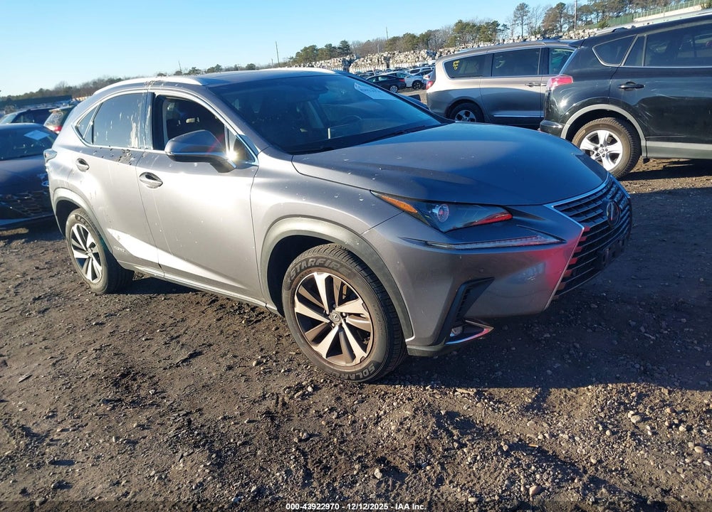 2019 LEXUS NX 300H VIN: JTJBJRBZ9K2122611