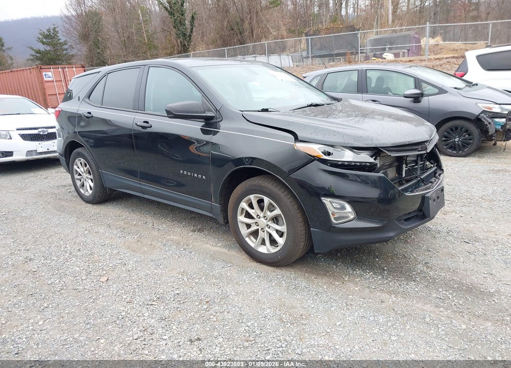 2019 CHEVROLET EQUINOX LS VIN: 2GNAXSEV0K6264871