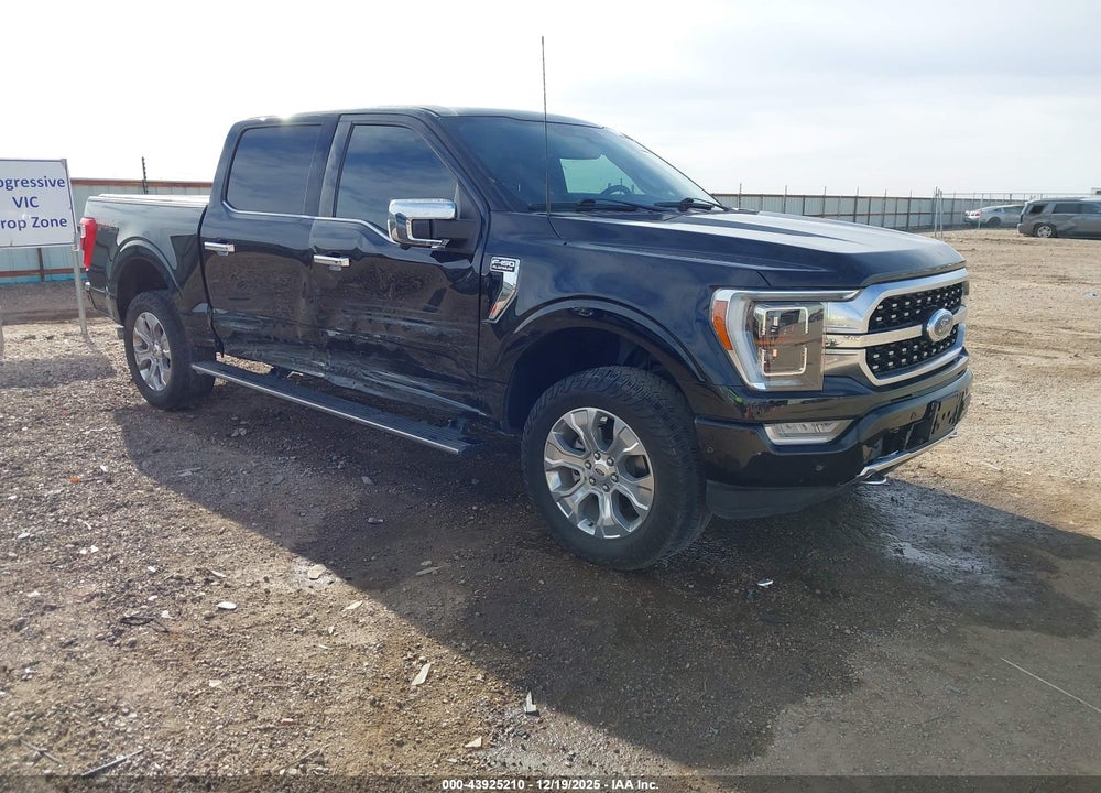 2023 FORD F-150 PLATINUM VIN: 1FTFW1E83PFB29998