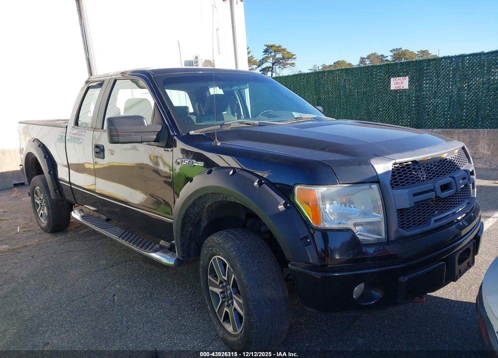 2009 FORD F-150 STX/XL VIN: 1FTRX14W89FA80276