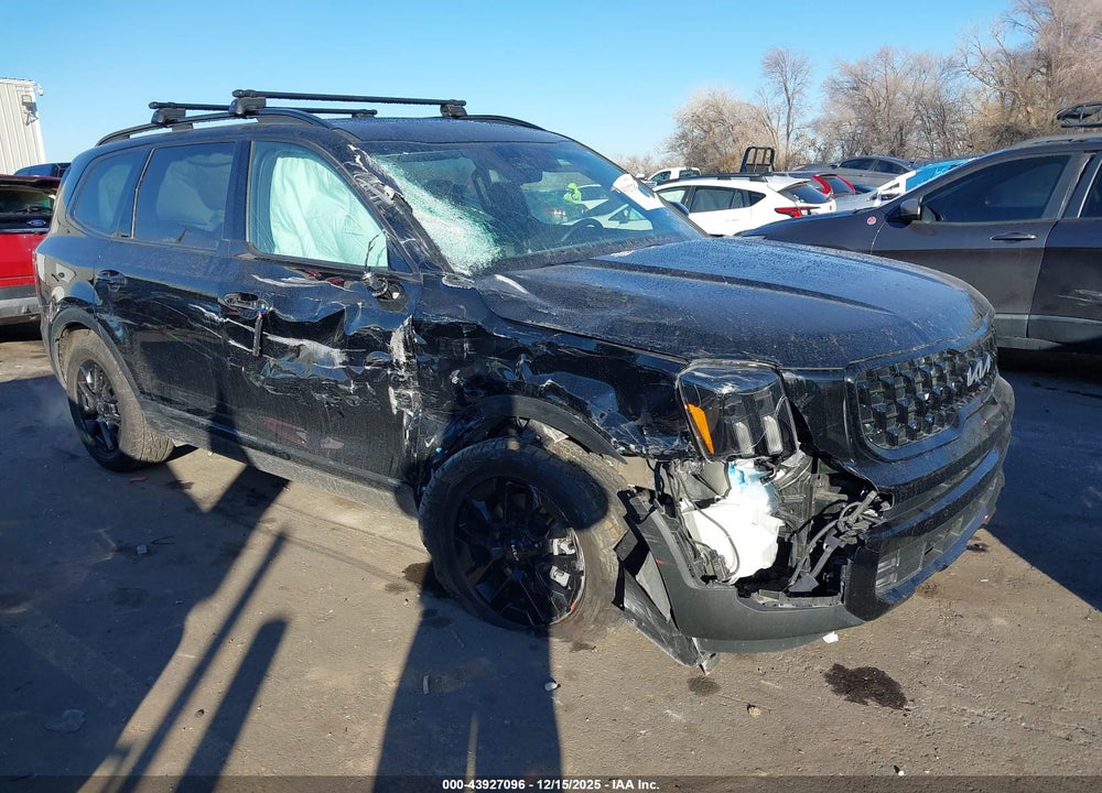 2024 KIA TELLURIDE SX PRESTIGE X-PRO VIN: 5XYP5DGC1RG513000