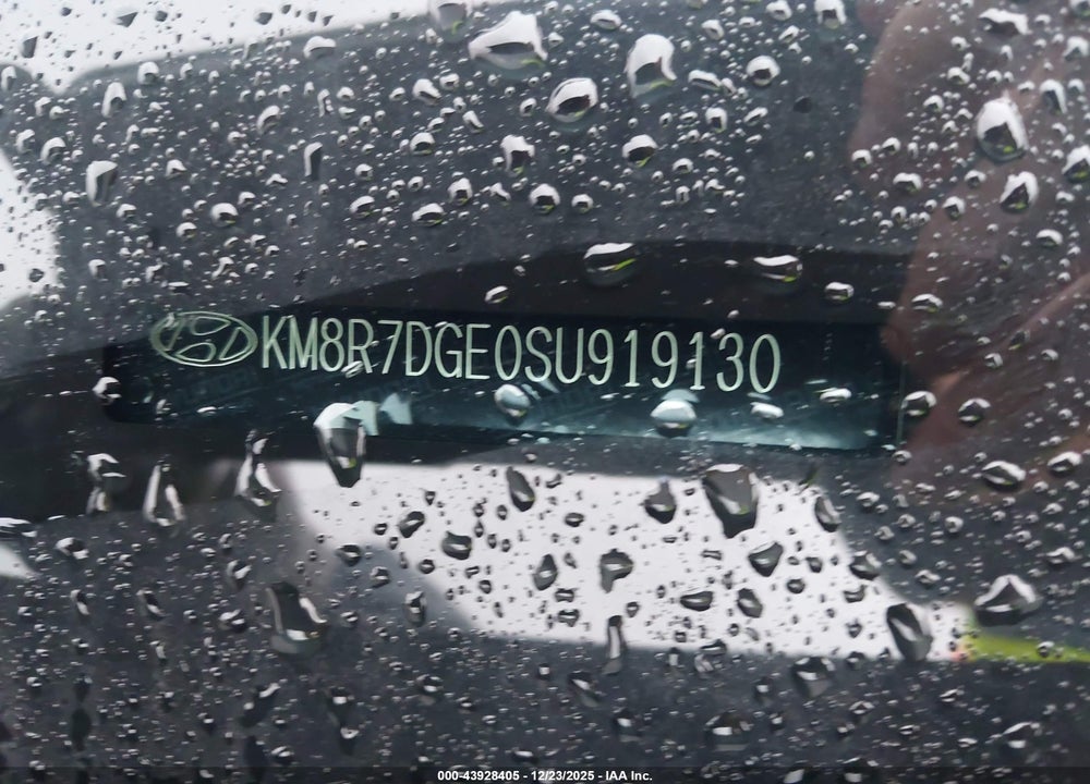 2025 HYUNDAI PALISADE CALLIGRAPHY NIGHT EDITION VIN: KM8R7DGE0SU919130
