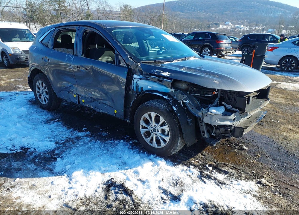 2024 FORD ESCAPE ACTIVE VIN: 1FMCU9GN9RUB50472