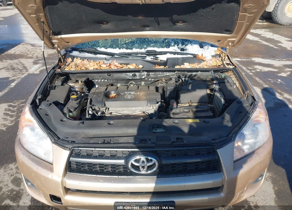 2009 TOYOTA RAV4 VIN: 2T3BF33V69W004806