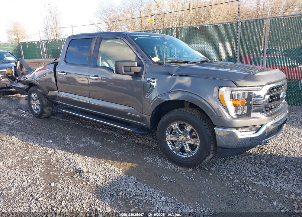 2021 FORD F-150 XLT VIN: 1FTFW1ED2MFC60347