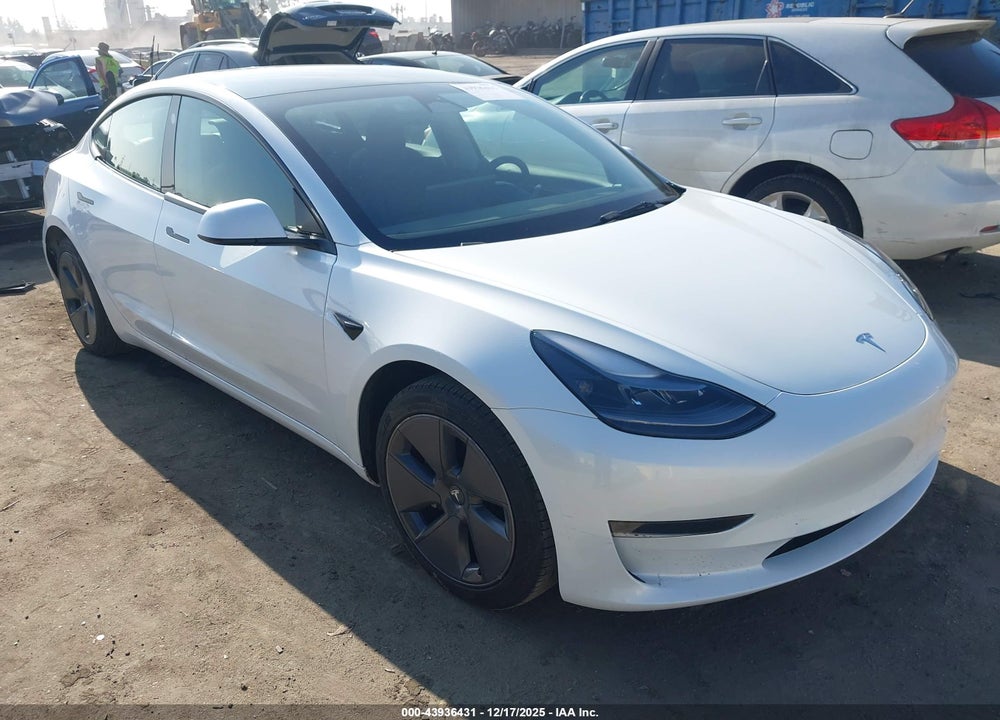 2023 TESLA MODEL 3 REAR-WHEEL DRIVE VIN: 5YJ3E1EA5PF489495