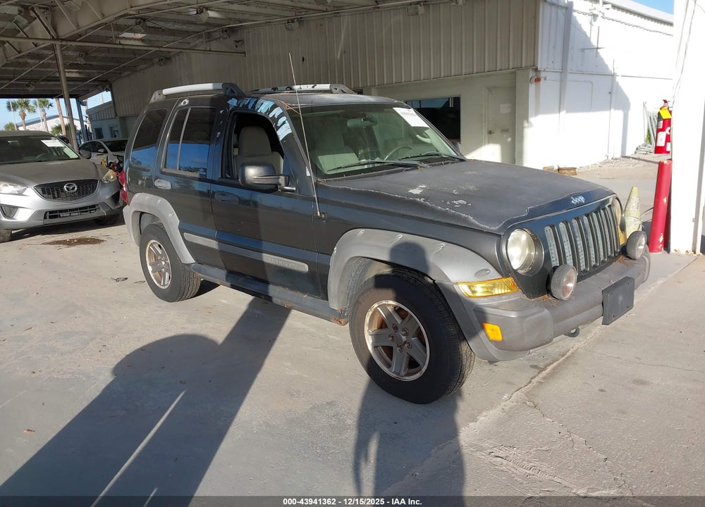 2006 JEEP LIBERTY RENEGADE VIN: 1J4GL38K46W119439
