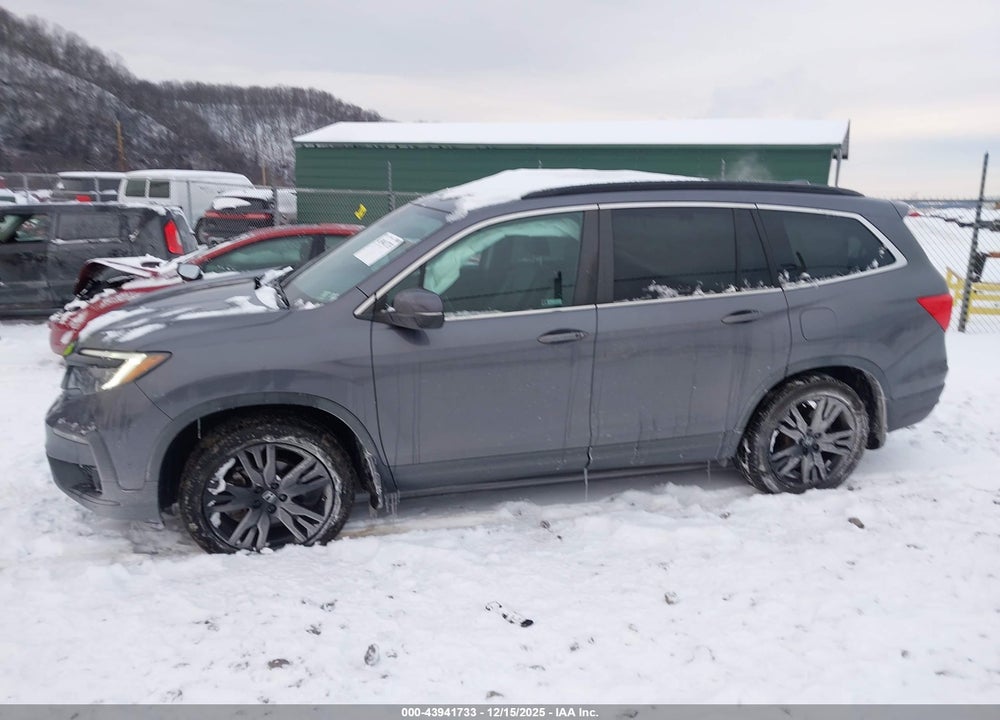 2021 HONDA PILOT AWD SPECIAL EDITION VIN: 5FNYF6H27MB018576