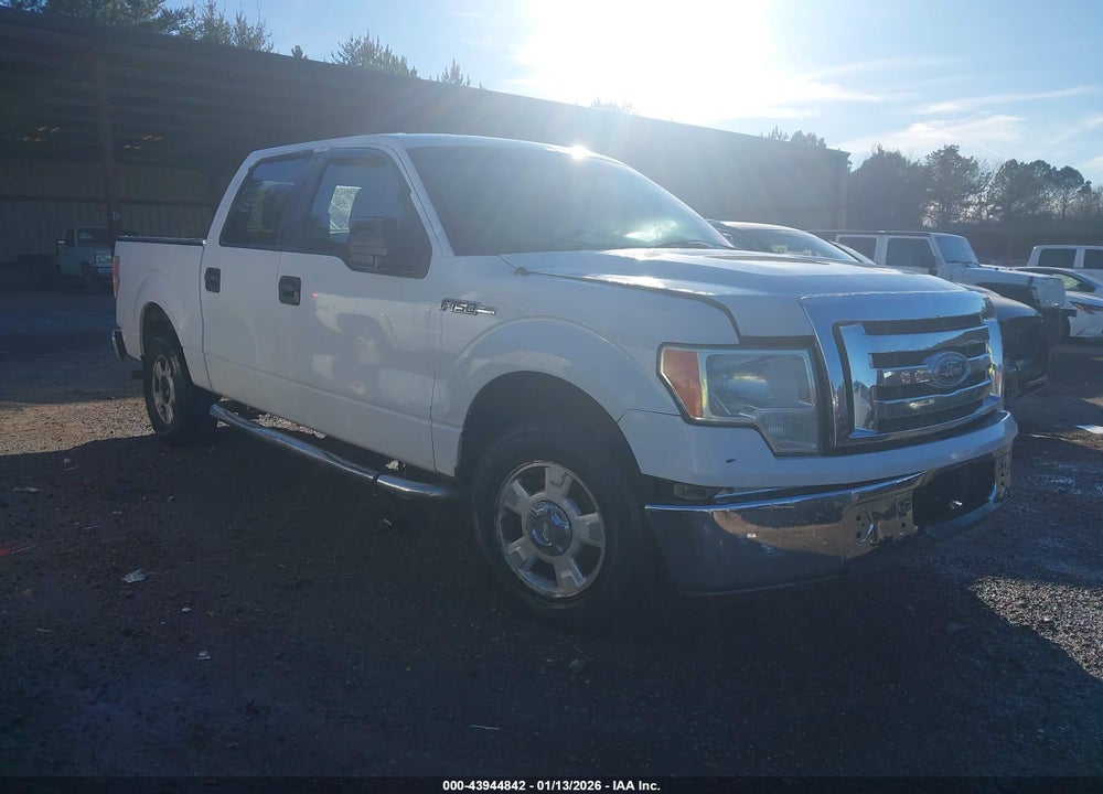 2010 FORD F-150 XLT VIN: 1FTEW1C80AFC67830