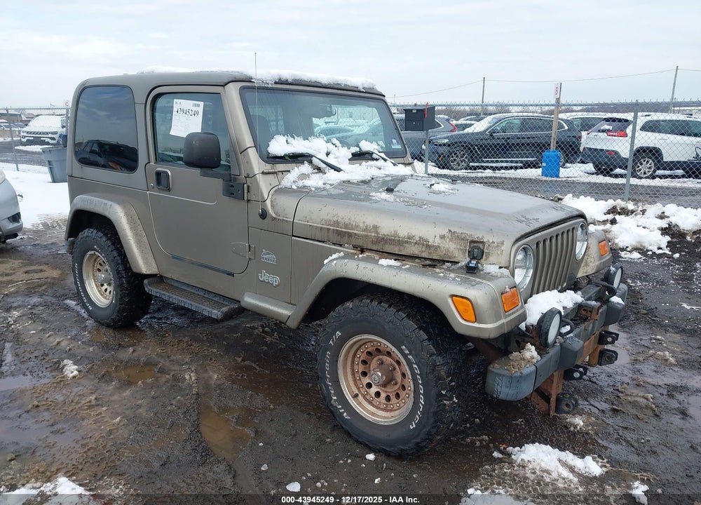 2003 JEEP WRANGLER SAHARA VIN: 1J4FA59S73P326036