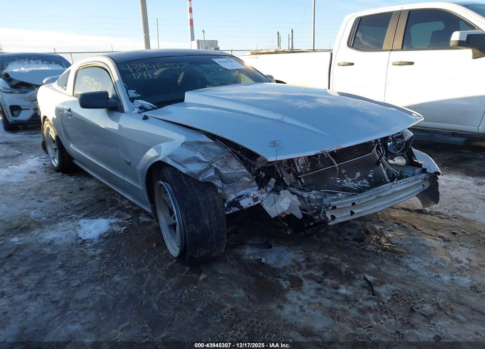 2006 FORD MUSTANG GT VIN: 1ZVHT82H465254198