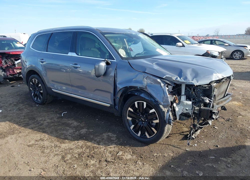 2024 KIA TELLURIDE SX PRESTIGE VIN: 5XYP5DGC0RG500464