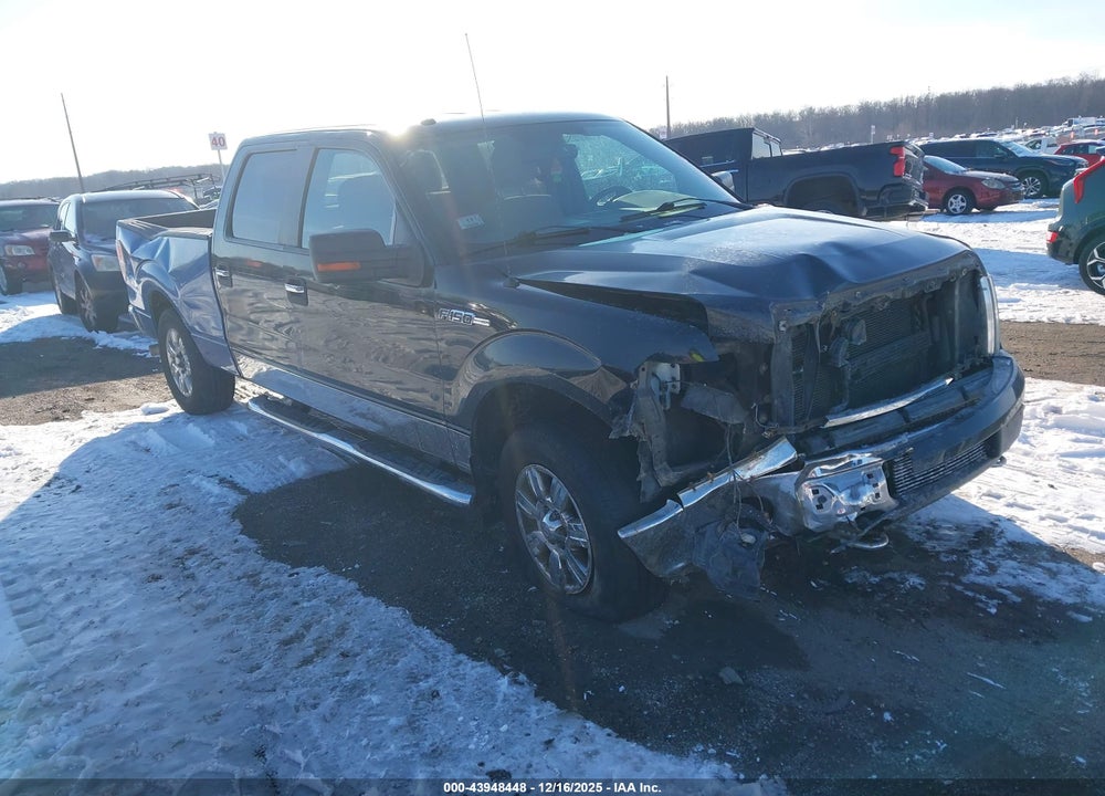 2011 FORD F-150 XLT VIN: 1FTFW1EF8BFC40523