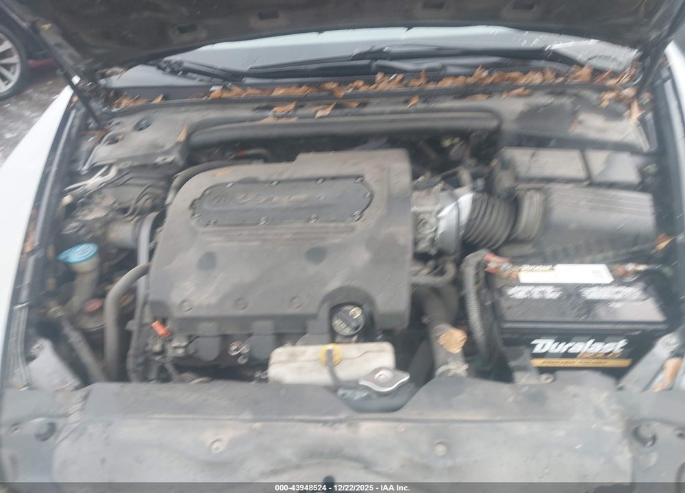 2006 ACURA TL VIN: 19UUA662X6A004913