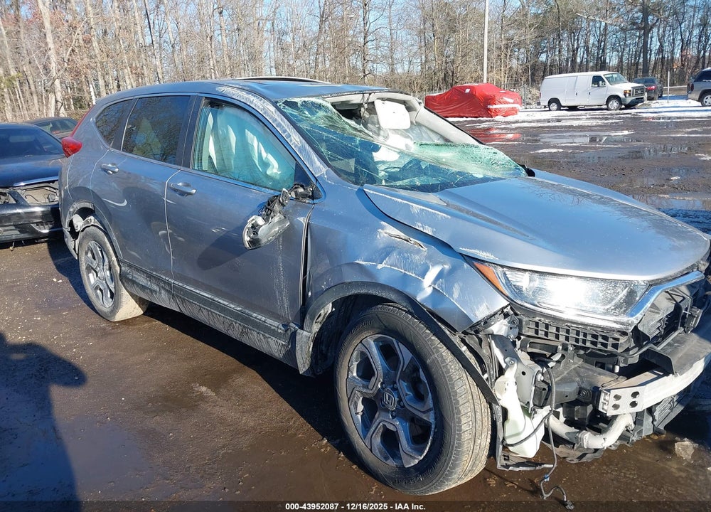 2019 HONDA CR-V EX-L VIN: JHLRW2H89KX007487