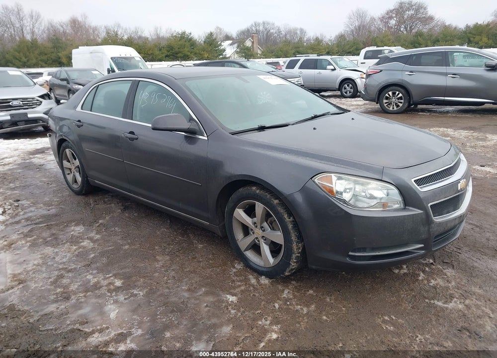 2011 CHEVROLET MALIBU 1LT VIN: 1G1ZC5E12BF305375