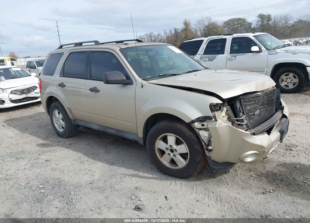 2011 FORD ESCAPE XLT VIN: 1FMCU0D73BKB70526