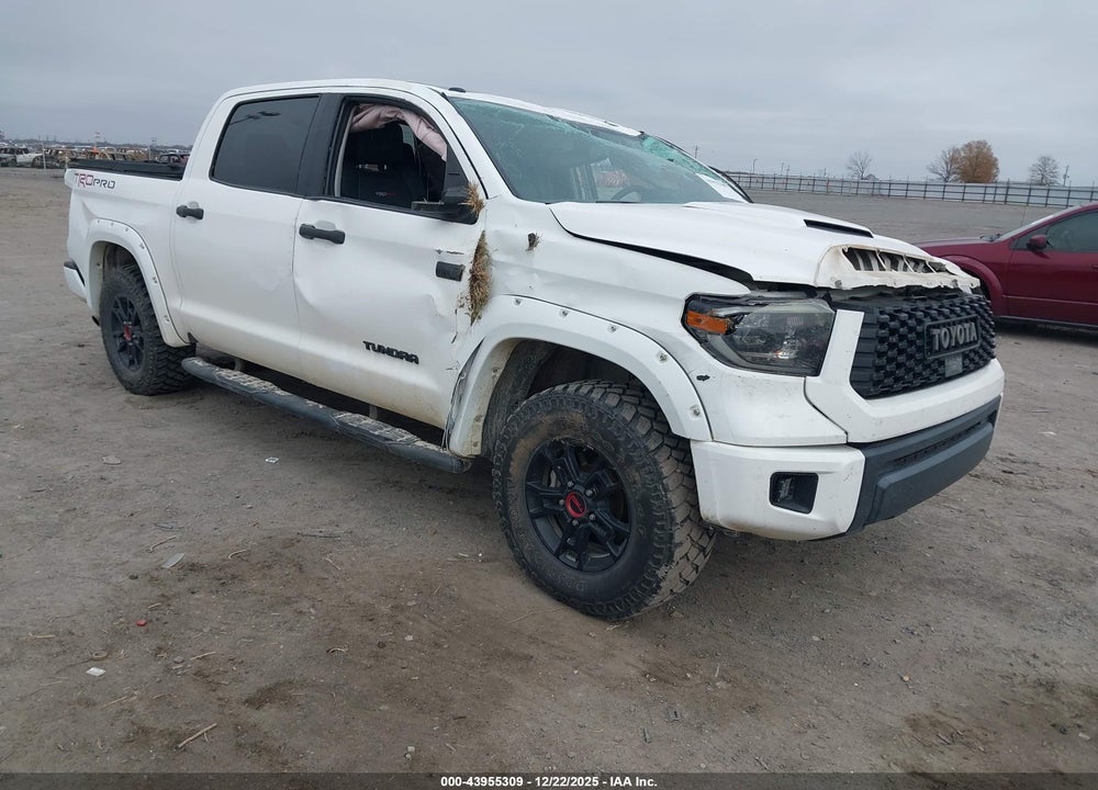 2019 TOYOTA TUNDRA TRD PRO 5.7L V8 VIN: 5TFDY5F1XKX799691