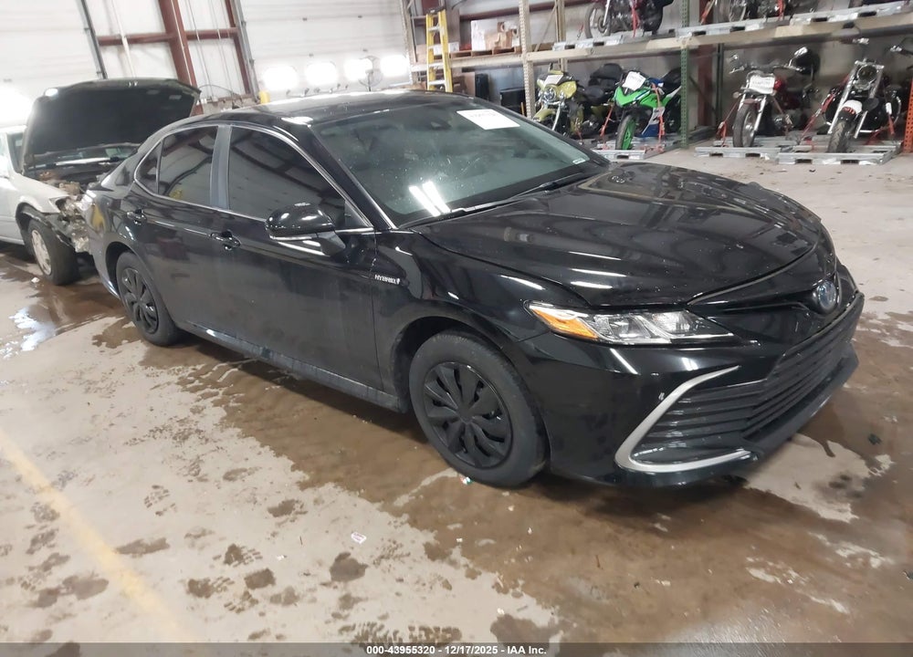 2021 TOYOTA CAMRY LE HYBRID VIN: 4T1C31AK8MU024440