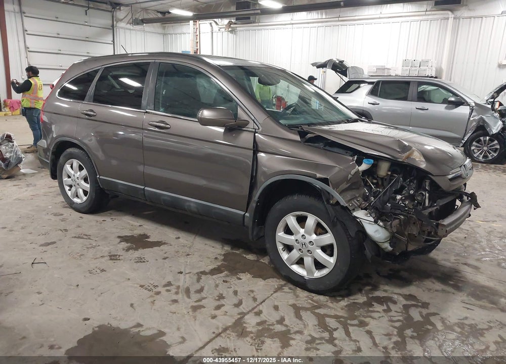 2009 HONDA CR-V EX-L VIN: 5J6RE48739L013736