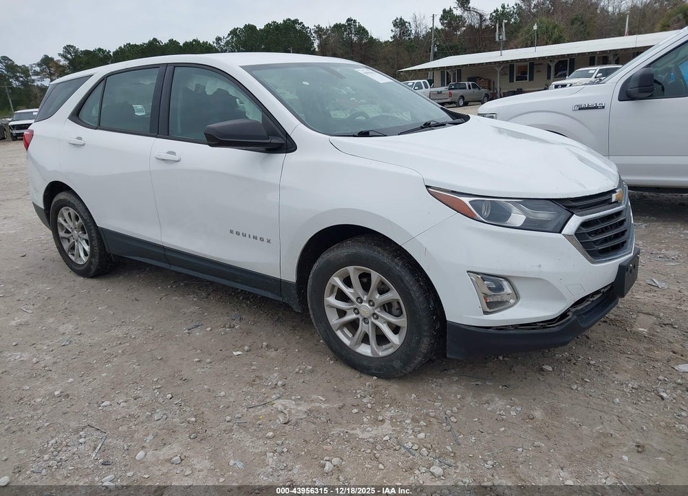 2018 CHEVROLET EQUINOX LS VIN: 2GNAXHEV8J6105243