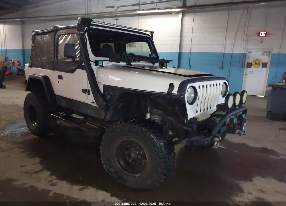 2002 JEEP WRANGLER SPORT VIN: 1J4FA49S02P702018