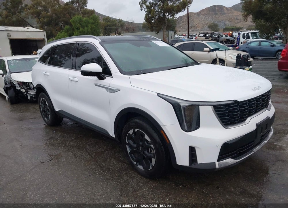 2024 KIA SORENTO S VIN: 5XYRL4JC3RG302260