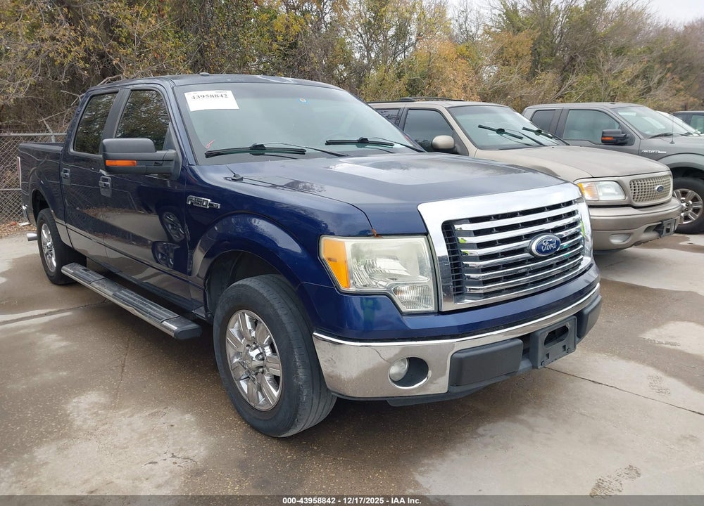 2011 FORD F-150 XLT VIN: 1FTFW1CF1BKD09241