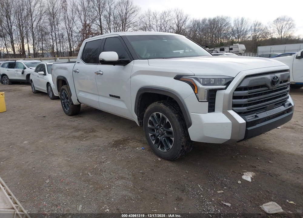 2025 TOYOTA TUNDRA LIMITED VIN: 5TFJA5DBXSX241083