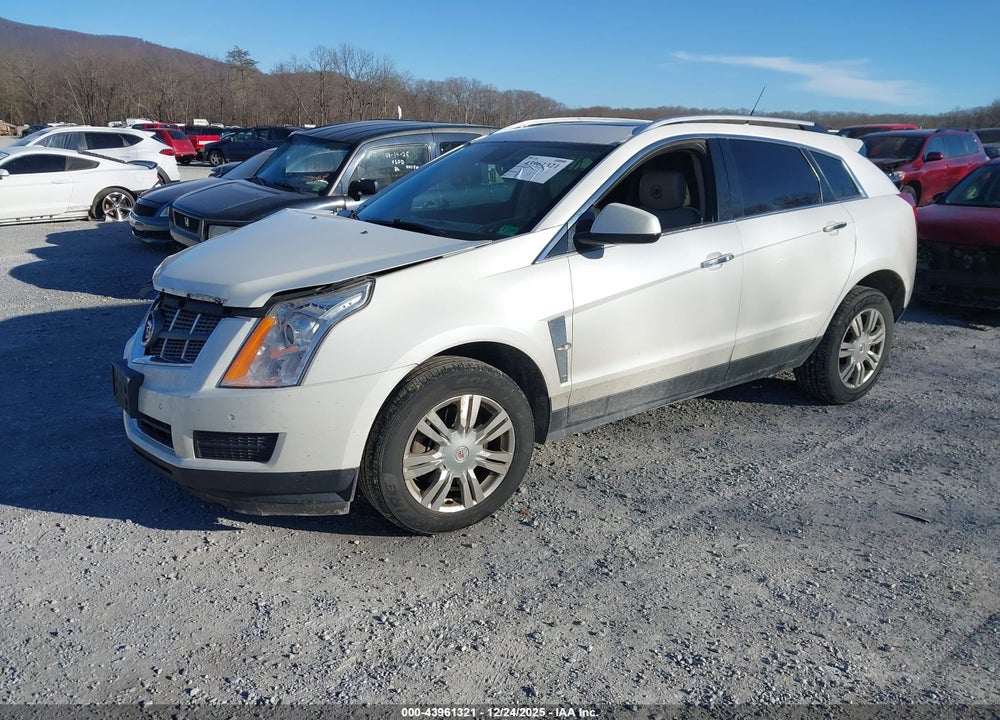 2011 CADILLAC SRX LUXURY COLLECTION VIN: 3GYFNDEY8BS538873