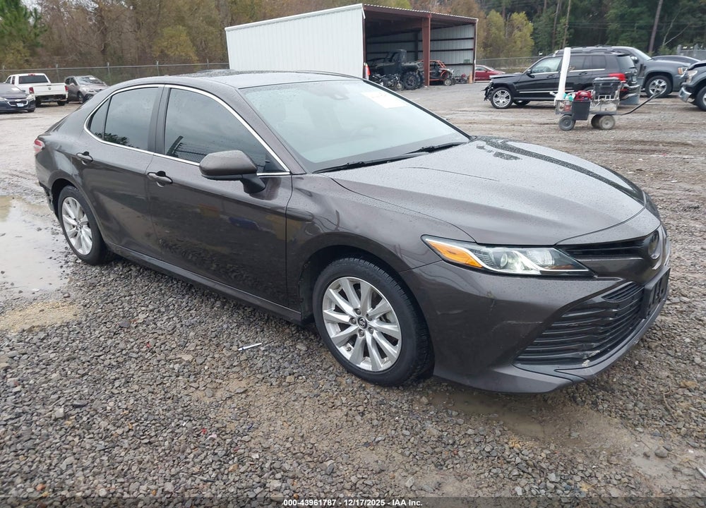 2019 TOYOTA CAMRY LE VIN: 4T1B11HK0KU178953